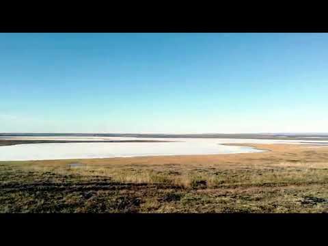 Лето в Чокурдахе смотреть онлайн