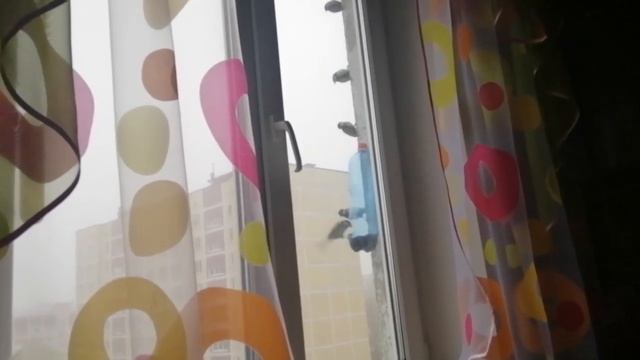 Синички смотреть онлайн