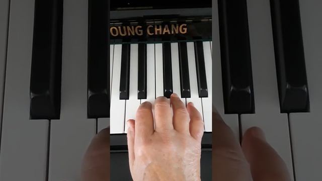 D Major Chord Piano Tutorial Easy Beginner Pdf