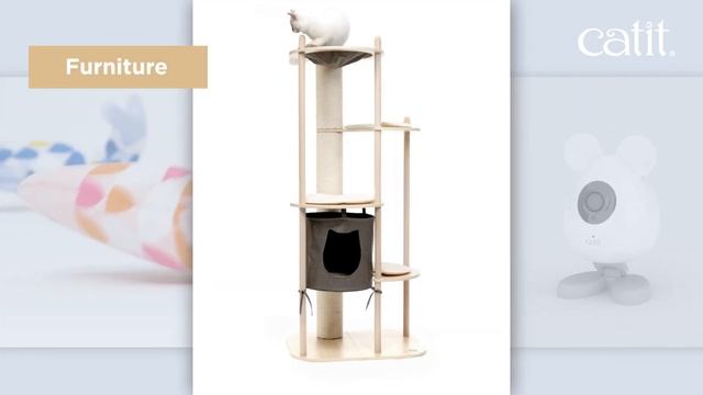 Everything your cat needs for a happy and healthy life! смотреть онлайн