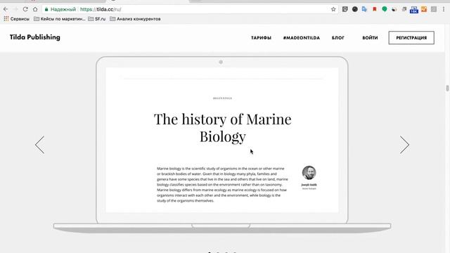 Конструктор сайтов Tilda Publishing смотреть онлайн