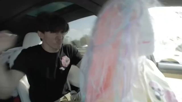 Flamingo funny clips compilation смотреть онлайн