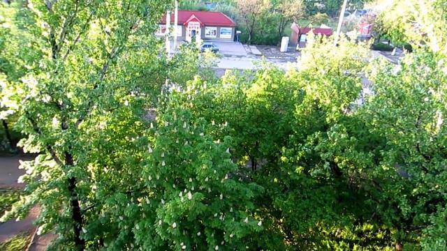 До свидания,Стаханов!!! До встречи любимый мой город.... смотреть онлайн