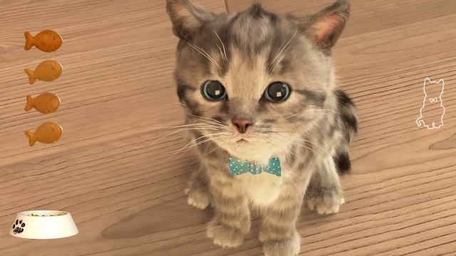 Care for your super cat friend - Little Kitten My Favorite Cat Paw Painting смотреть онлайн