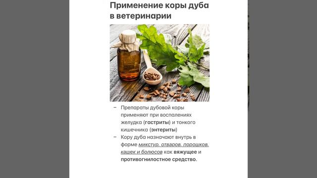 Лучшее народное средство от поноса у сельскохозяйственных животных смотреть онлайн
