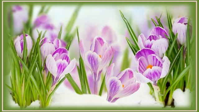 Поздравление с 8 МАРТА?Праздник Весны, Красоты и Нежности?Самая, ну ОЧЕНЬ красивая песня смотреть онлайн