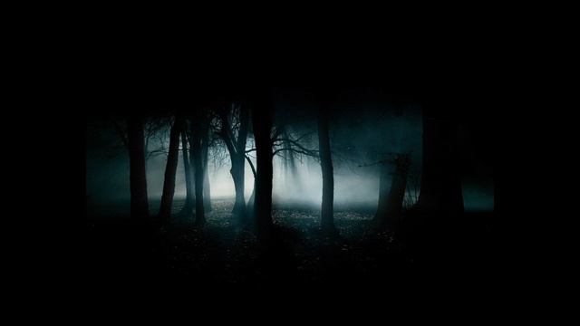 Scott McGill "Night Music" for Orchestra: after Luigi Dallapiccola's Piccola Musica Notturna смотреть онлайн