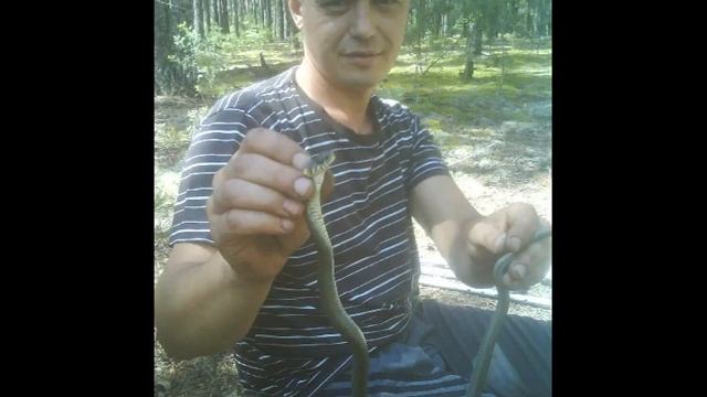 Памяти любимого мужа и папочки (от жены и сына!!!) смотреть онлайн