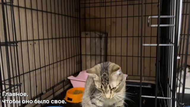 БЕРКЛИ смотреть онлайн
