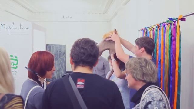 Ресторанный день в Красноярске на Каменке_16.11.2013 смотреть онлайн