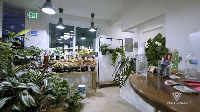 Prickly Pear: Sacramento Cactus and Succulent Shop | Very Local смотреть онлайн