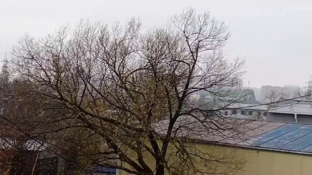 Химтрелы над Москвой накрыли город .14.11.2020. В НЕБЕ НЕТ НИ ОДНОЙ ПТИЦЫ! Chemtrails Smoke Screen.