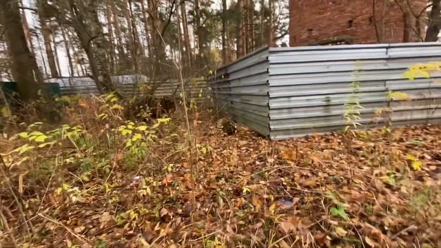 Нашли приключения … 26 октября 2022 г. смотреть онлайн