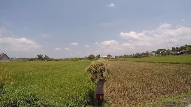 Yogyakarta Java, Indonesia смотреть онлайн