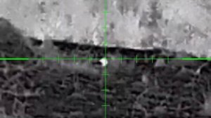 Обзор.RikaNV GTR 650.