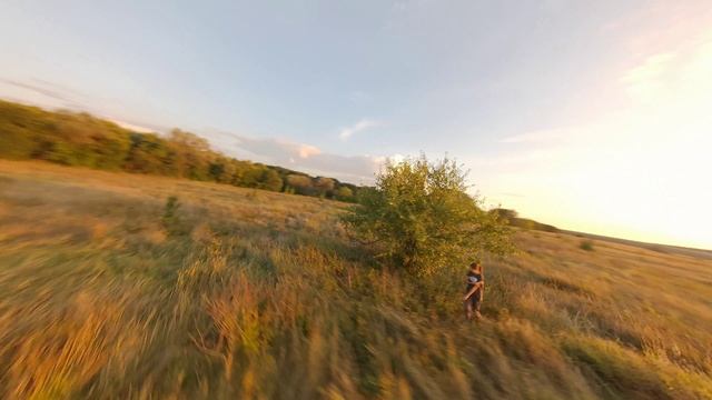 Wild apples on the sunset FPV смотреть онлайн