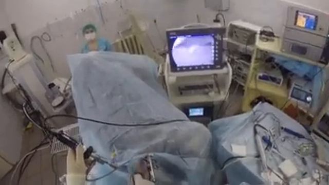 как мы оперируем коленный сустав у собаки. Курган . Эндовет смотреть онлайн