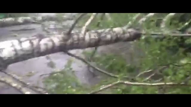 Набор добровольцев на расчистку парка в Ивантеевке после урагана смотреть онлайн