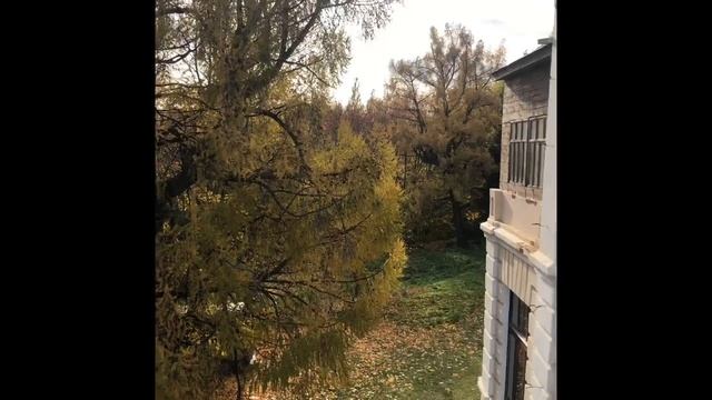 Усадьба Молоствовых «Долгая Поляна» смотреть онлайн