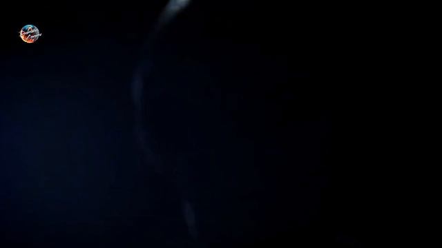 Откуда Приходят Призраки? смотреть онлайн