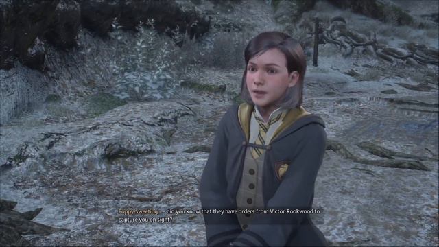 Hogwarts Legacy Gameplay Part. 18 смотреть онлайн