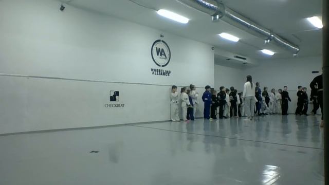 Соревнования по бразильскому джиу джитсу Wrestling Alliance часть 1