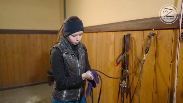 Уход за конноспортивной амуницией смотреть онлайн
