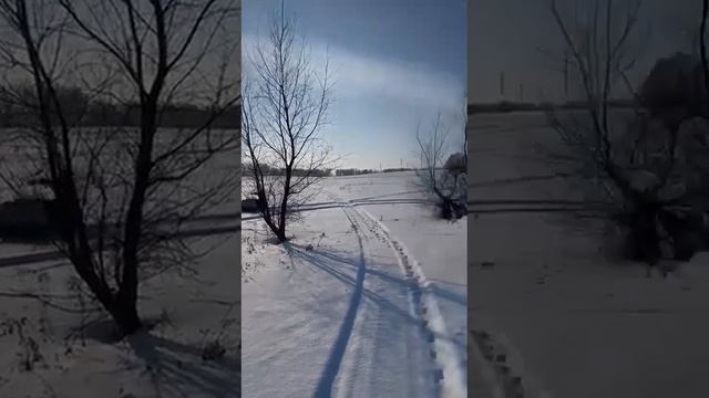 Старик живее всех живых