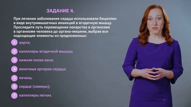 Тема: Кровообращение смотреть онлайн