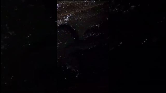 сегодня был ещё приход форели навеска 3+ смотреть онлайн