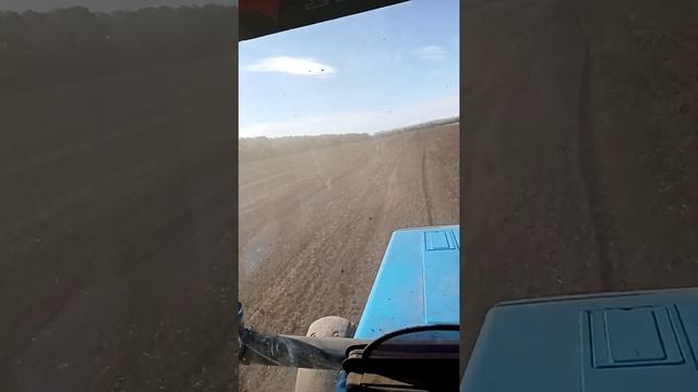 Прикатывание посева 08.10.21г. смотреть онлайн