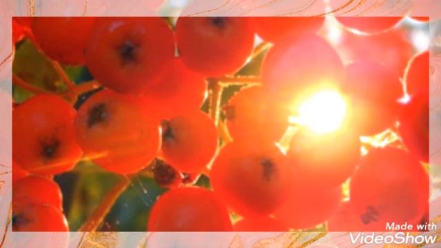 ?Калина рябина ? смотреть онлайн