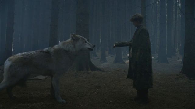 Человек собаке друг