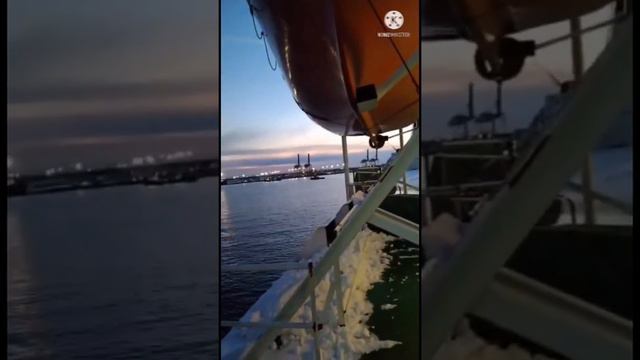 Паром Усть-Луга-Балтийск переезд в Калининградскую область с собаками и автомобилем на пароме смотреть онлайн