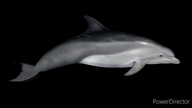 Terraria But If You Close Your Eyes смотреть онлайн