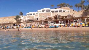 Отель Риф Оазис бич Резорт Египет Шарм эль Шейх