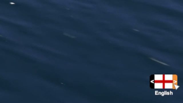 naval art : how to change your UI language смотреть онлайн