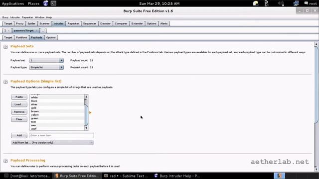 Learn Burp Suite, the Nr. 1 Web Hacking Tool - 07 - Intruder and Comparer смотреть онлайн