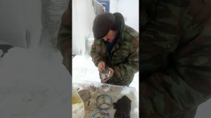 Парафин в соляре страшная штука.