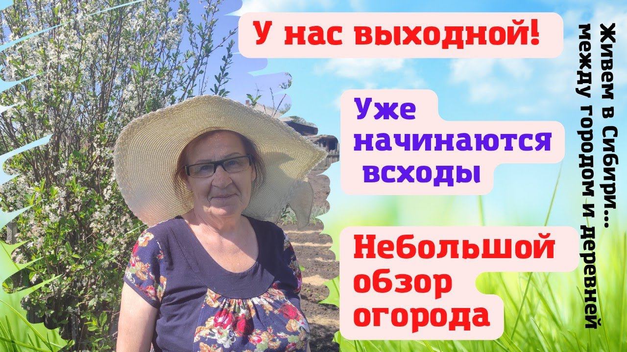 24.05.2022 У нас выходной. Уже начинают всходить наши посевы.. Долгожданный полив