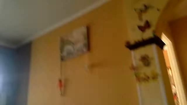 Долгие комнаты. Зал. смотреть онлайн