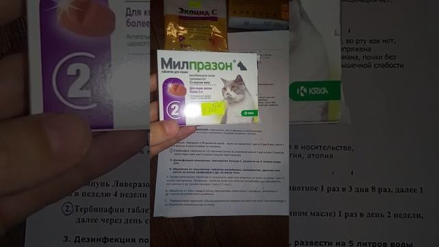 Как вылечить лишай смотреть онлайн