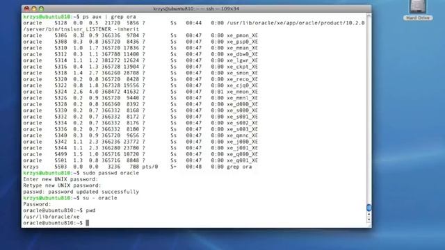 Installing Oracle XE on Ubuntu 8.10 Server смотреть онлайн