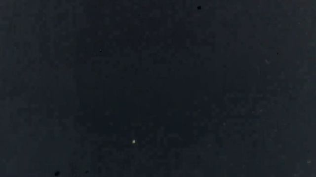 Max Factor Cosmetics