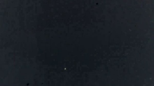 Max Factor Cosmetics