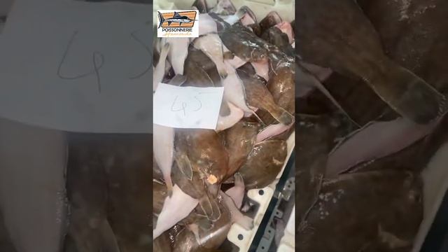 Pêche du jour 9 mars 2021 смотреть онлайн