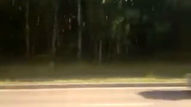 01.08.2014. Новосибирск, Академгородок - Карьер Борок. смотреть онлайн