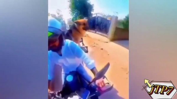 Лучшие приколы? №33 ?? BEST ржака ?
https://youtube.com/@JokesTITpro
https://vk.com/JokesTITpro