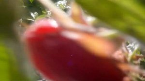 подглядывание