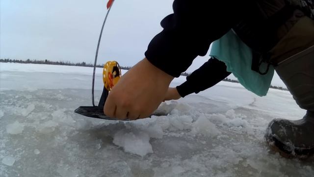 Первая рыбалка со льда Сезон 2019 2020 смотреть онлайн
